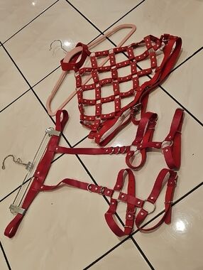 Red Studded Strappy Harness Set